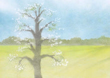 Laden Sie das Bild in den Galerie-Viewer, SPEZIAL- Laubbaumschablone