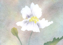 Laden Sie das Bild in den Galerie-Viewer, SPEZIAL - Blurry Lines Schablone IV