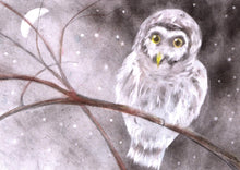 Laden Sie das Bild in den Galerie-Viewer, SPEZIAL - Zeichenschablone