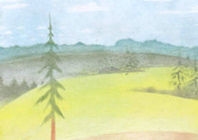 Laden Sie das Bild in den Galerie-Viewer, SPEZIAL - Nadelbaumschablone