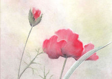 Laden Sie das Bild in den Galerie-Viewer, SPEZIAL - Blurry Lines Schablone IV