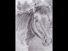 Laden und Abspielen von Videos im Galerie-Viewer, SPEZIAL - Zeichenschablone