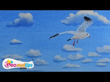 Laden und Abspielen von Videos im Galerie-Viewer, SPEZIAL - Maritim Schablone